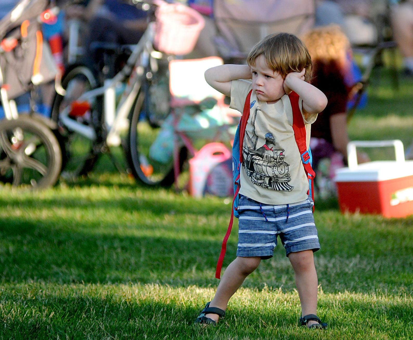 Lake Geneva Concert in the Park